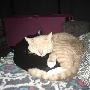 Meet your Posher, Robyn